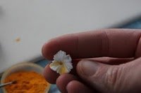 petal dust elegant cakes and party dates.jpg, 5 KB